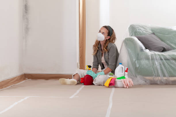 Reliable Mold Remediation contractor in Fayetteville, NY by Cheap Mold Removal